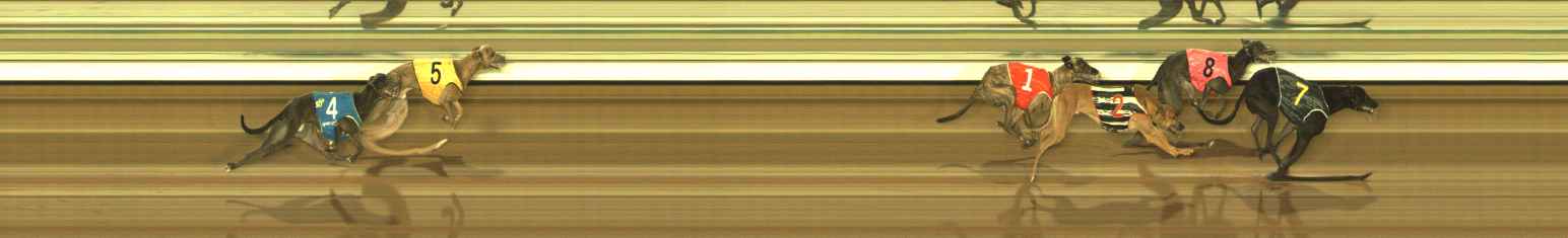 Photo finish for The Meadows Race 11