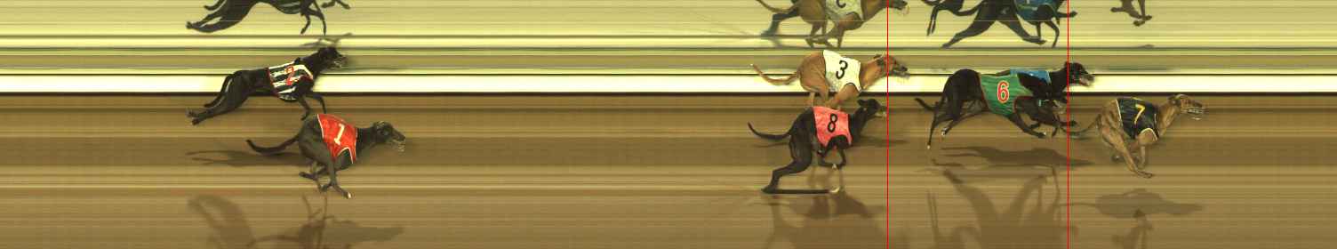 Photo finish for The Meadows Race 12