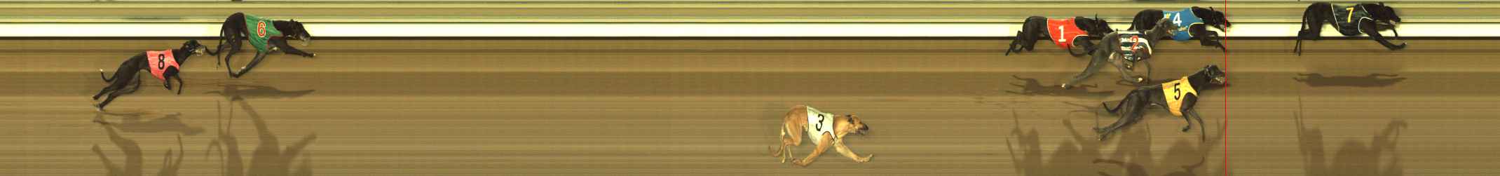 Photo finish for The Meadows Race 3