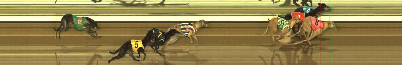 Photo finish for The Meadows Race 5