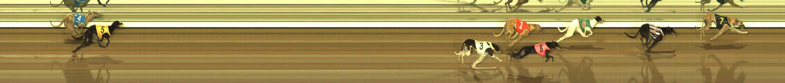 Photo finish for The Meadows Race 7