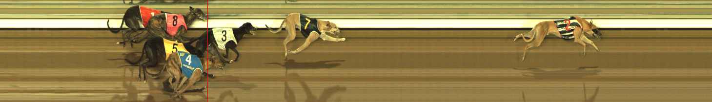 Photo finish for The Meadows Race 8