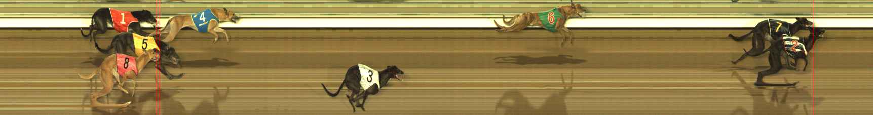 Photo finish for The Meadows Race 9
