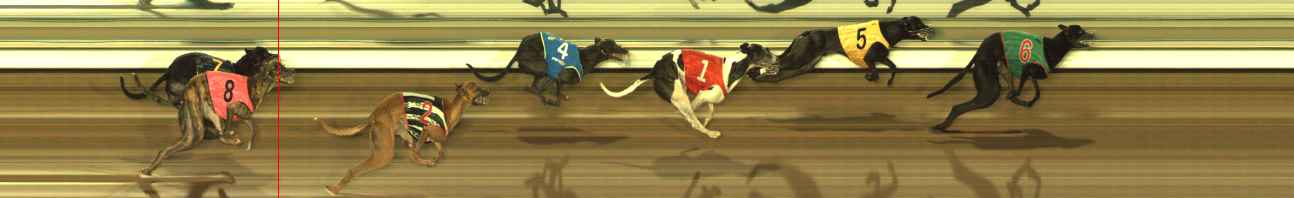 Photo finish for The Meadows Race 10