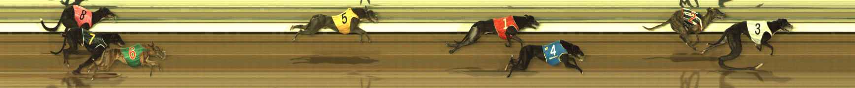 Photo finish for The Meadows Race 12