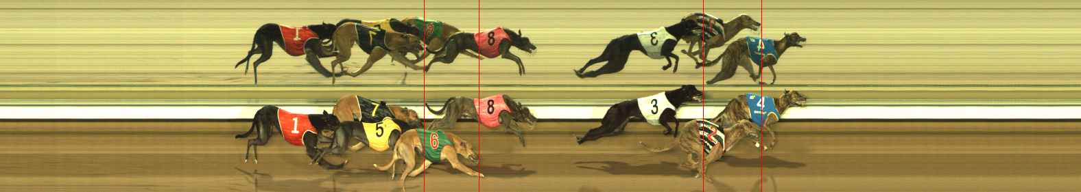 Photo finish for The Meadows Race 2