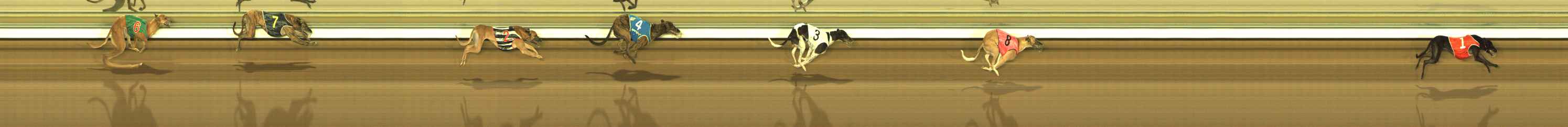 Photo finish for The Meadows Race 4