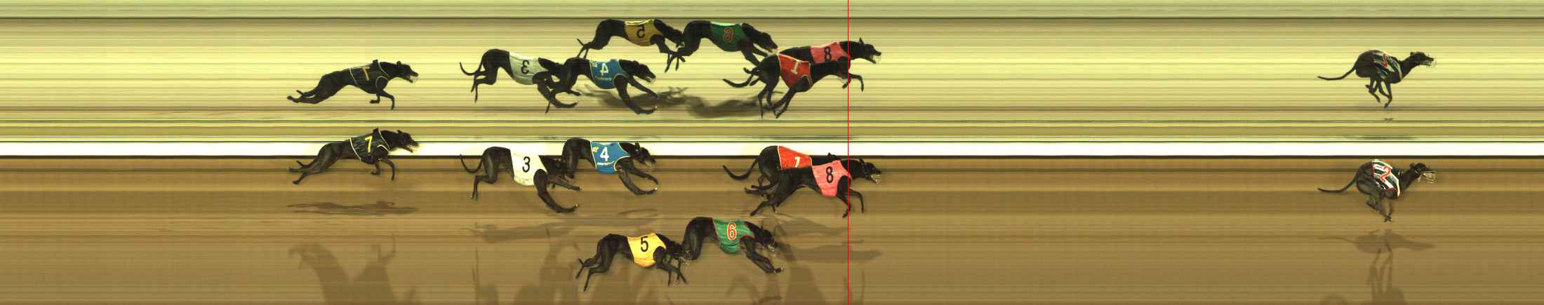 Photo finish for The Meadows Race 5