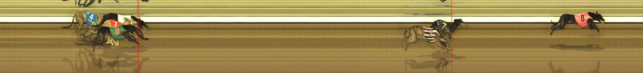 Photo finish for The Meadows Race 6