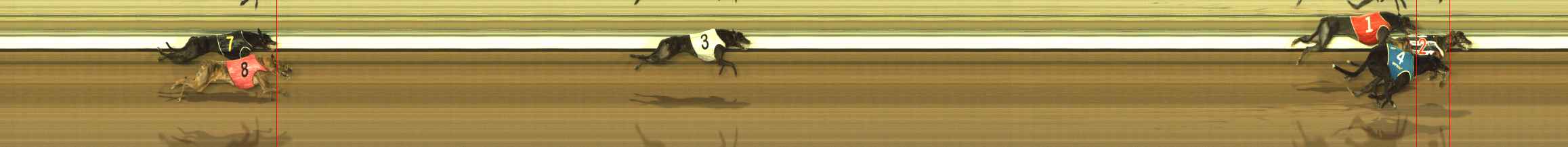 Photo finish for The Meadows Race 8