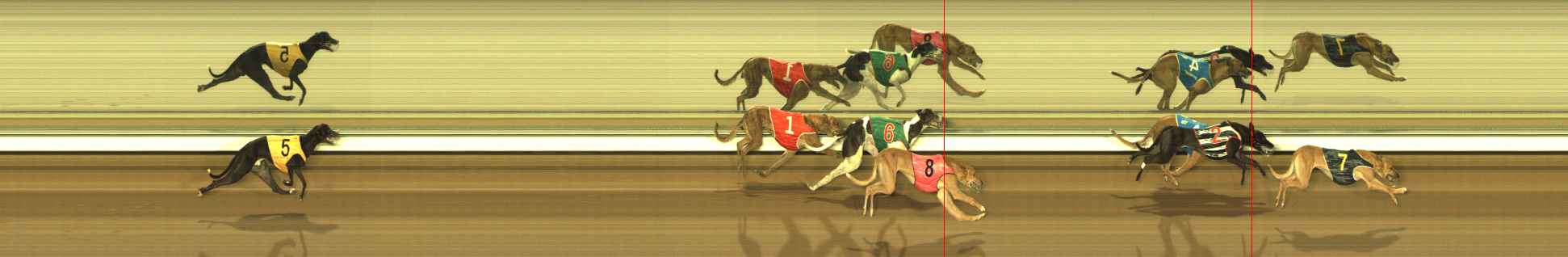 Photo finish for The Meadows Race 9