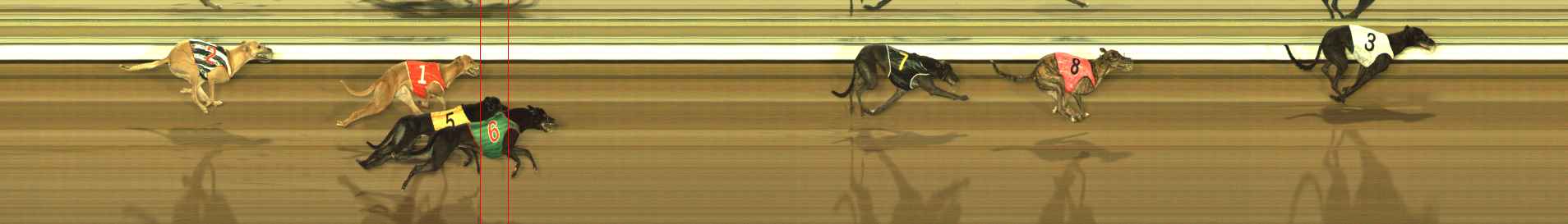 Photo finish for The Meadows Race 10