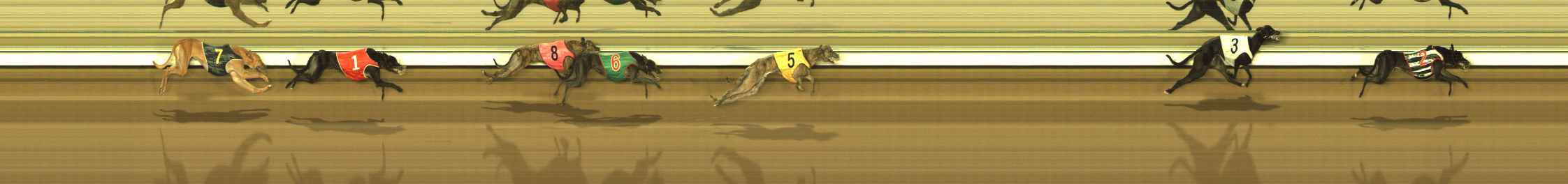 Photo finish for The Meadows Race 11