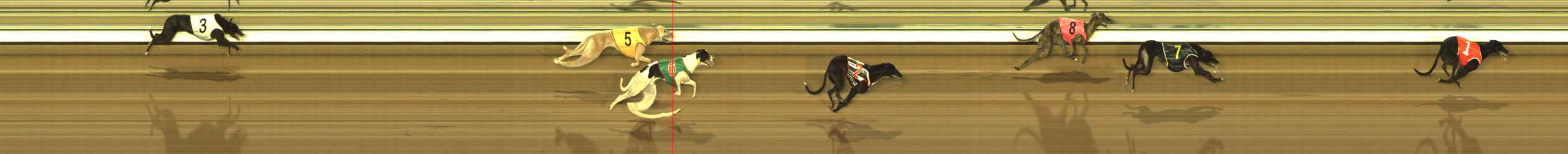 Photo finish for The Meadows Race 12