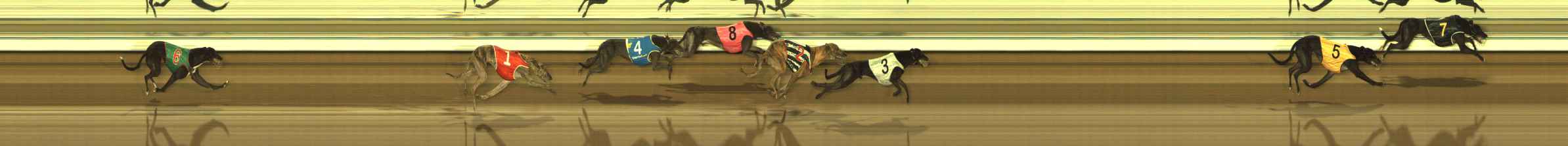 Photo finish for The Meadows Race 5