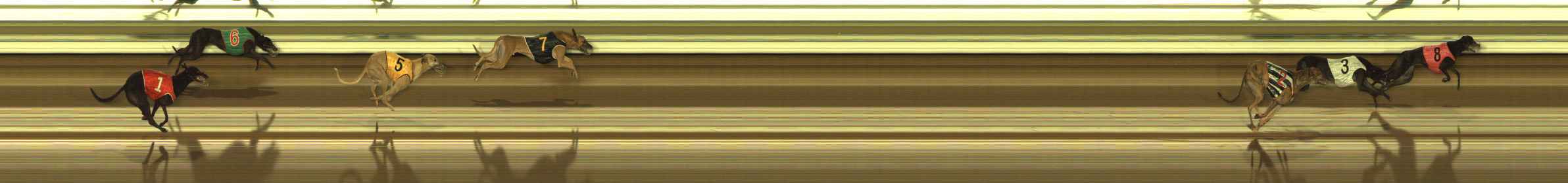 Photo finish for The Meadows Race 6