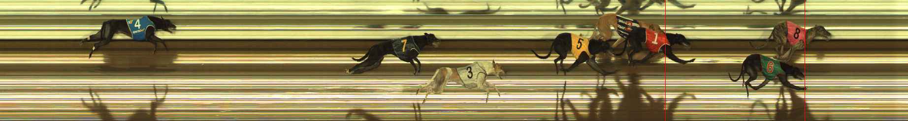 Photo finish for The Meadows Race 7
