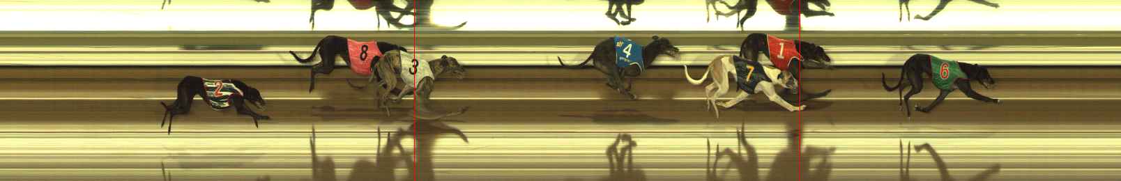 Photo finish for The Meadows Race 8