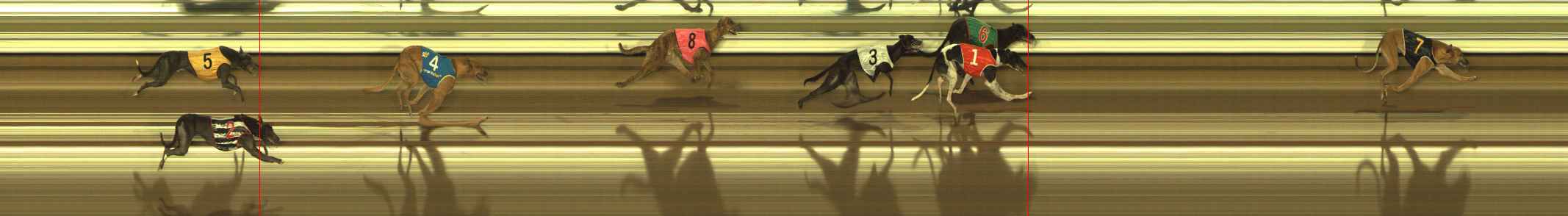 Photo finish for The Meadows Race 9