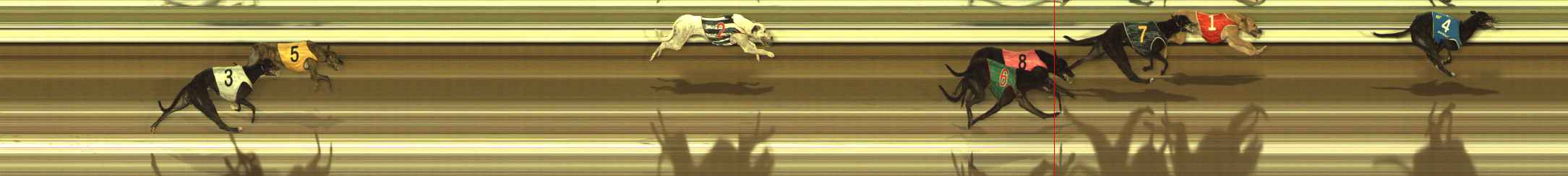 Photo finish for The Meadows Race 10