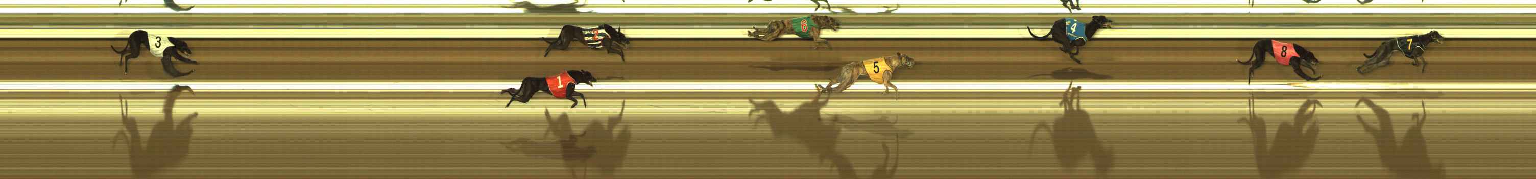 Photo finish for The Meadows Race 11