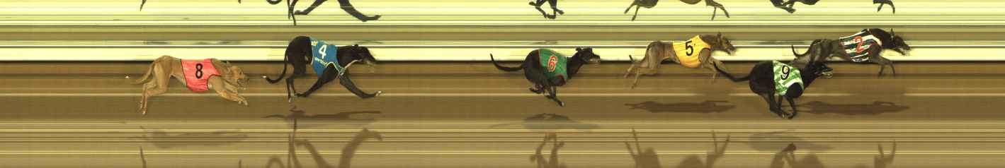 Photo finish for The Meadows Race 12