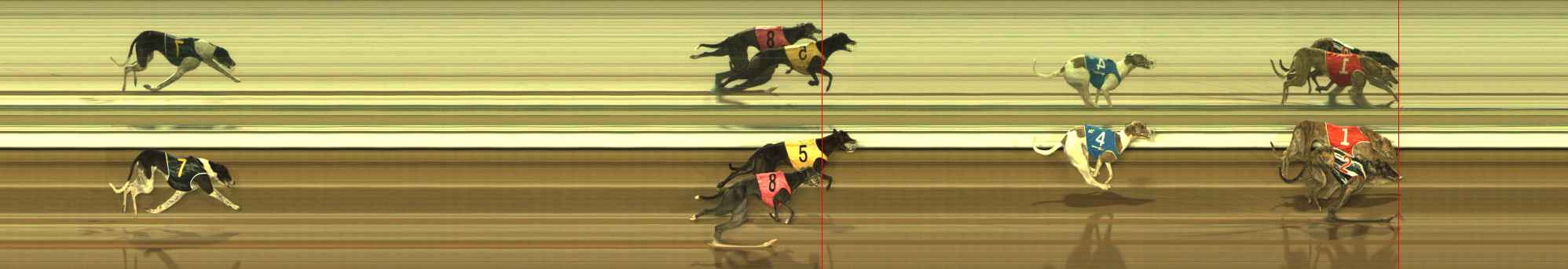 Photo finish for The Meadows Race 3