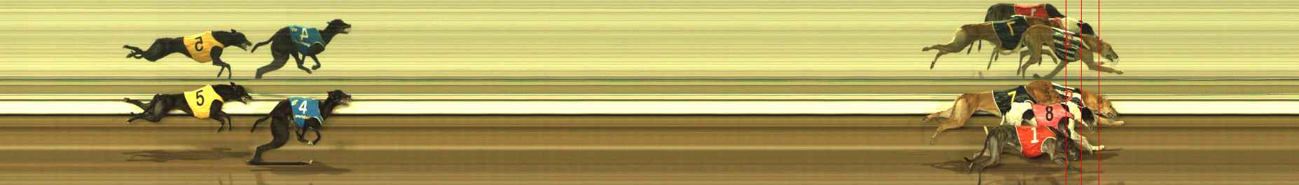 Photo finish for The Meadows Race 4