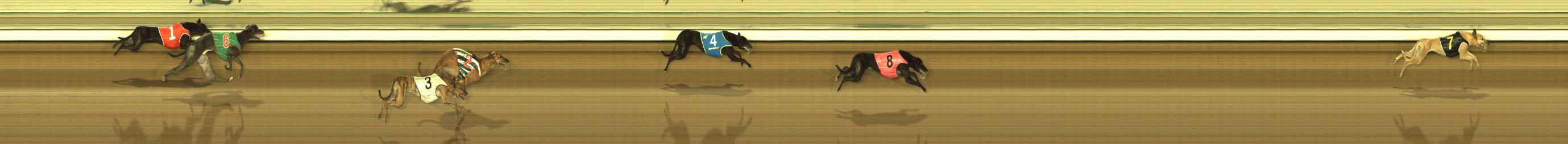 Photo finish for The Meadows Race 6