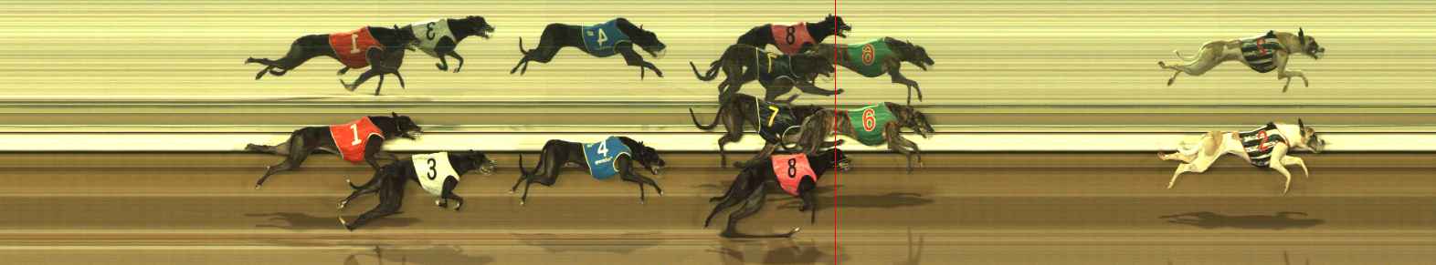 Photo finish for The Meadows Race 8