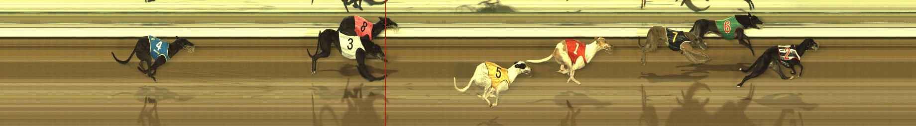 Photo finish for The Meadows Race 9