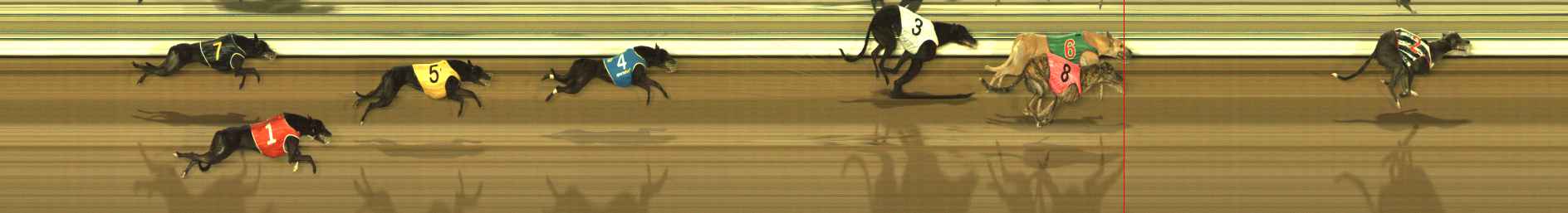 Photo finish for The Meadows Race 10