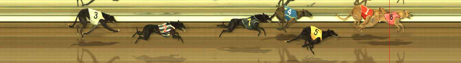 Photo finish for The Meadows Race 11