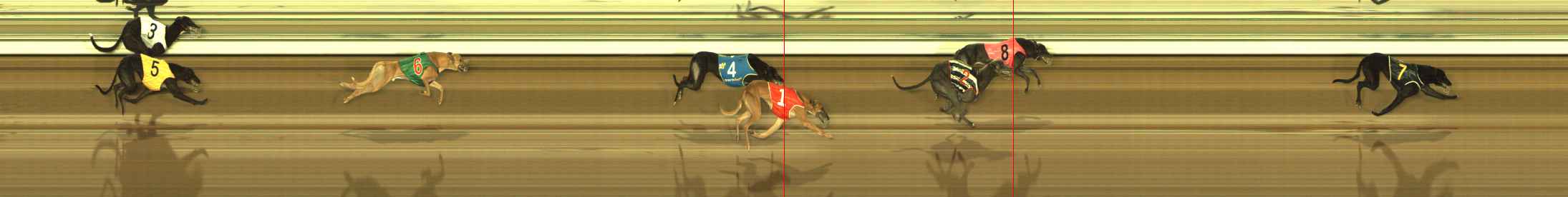 Photo finish for The Meadows Race 12
