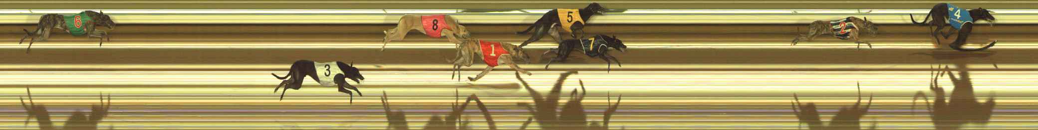 Photo finish for The Meadows Race 1