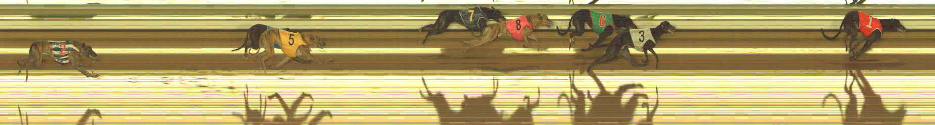 Photo finish for The Meadows Race 2