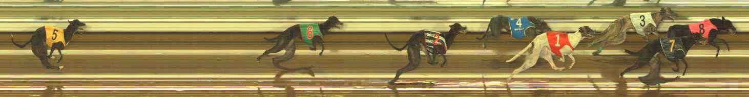 Photo finish for The Meadows Race 4