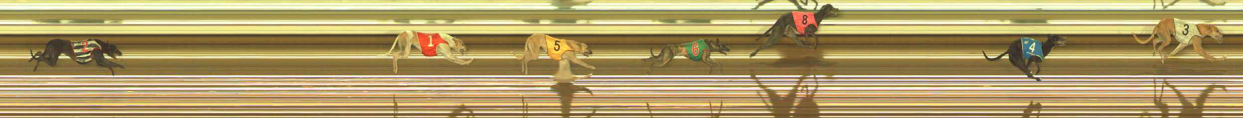 Photo finish for The Meadows Race 5