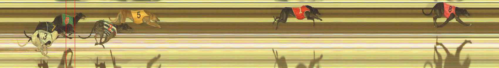 Photo finish for The Meadows Race 6