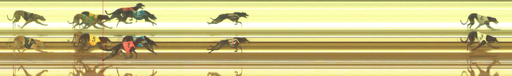 Photo finish for The Meadows Race 7