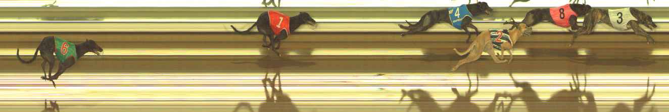 Photo finish for The Meadows Race 8