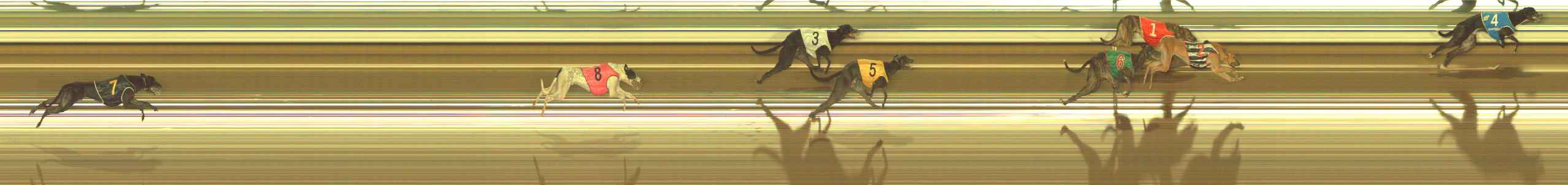 Photo finish for The Meadows Race 9