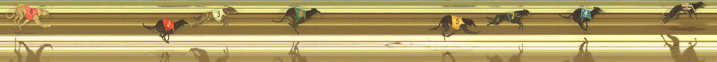 Photo finish for The Meadows Race 10