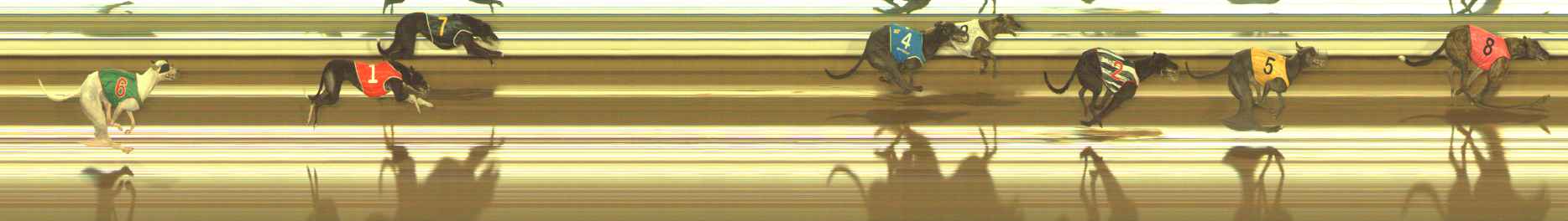 Photo finish for The Meadows Race 11