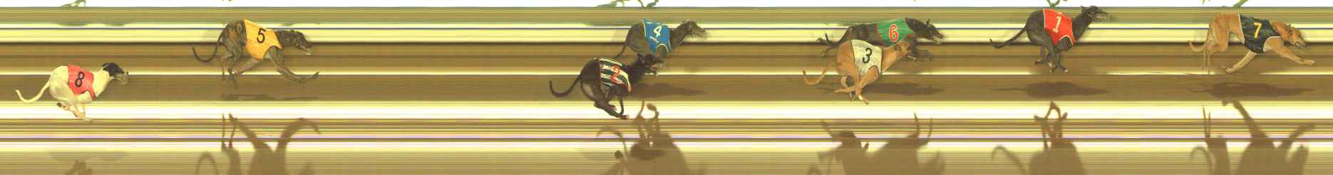 Photo finish for The Meadows Race 12