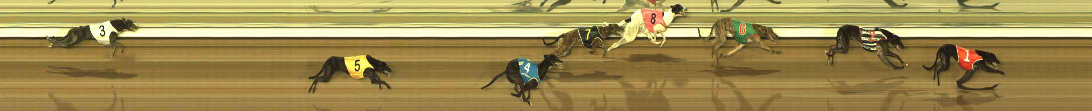 Photo finish for The Meadows Race 1