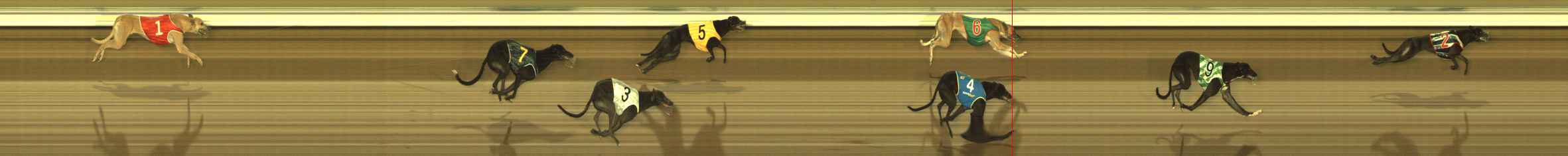 Photo finish for The Meadows Race 2