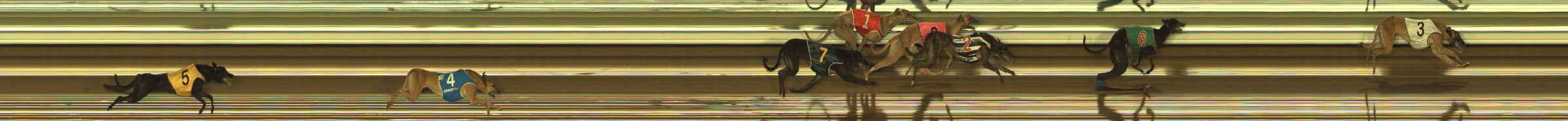 Photo finish for The Meadows Race 5