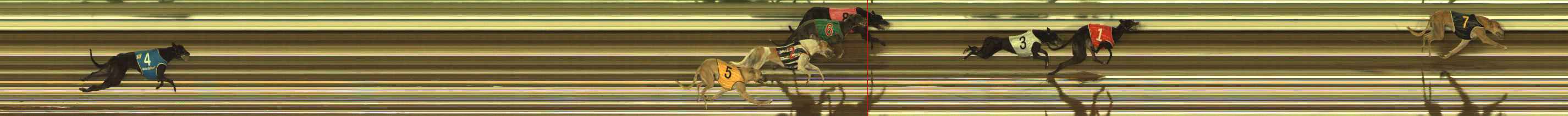 Photo finish for The Meadows Race 6