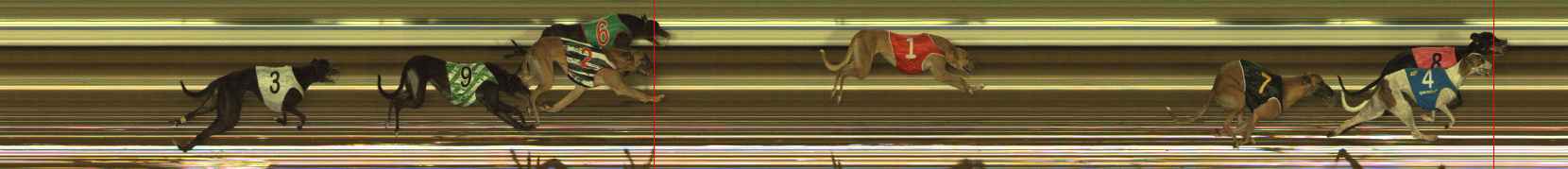 Photo finish for The Meadows Race 7